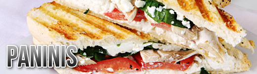 PANINIS image